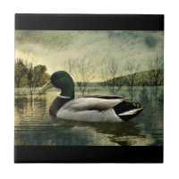 Mallard Duck Weathered Briefkaart