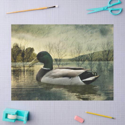  Mallard Duck Weathered Briefkaart Tissuepapier (Craft)