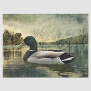 Mallard Duck Weathered Briefkaart Tissuepapier