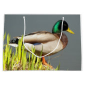 Mallard Duck Wildlife Foto Groot Cadeauzakje (Voorkant)