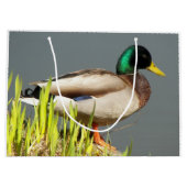 Mallard Duck Wildlife Foto Groot Cadeauzakje (Achterkant)