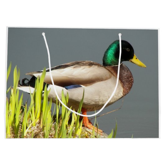 Mallard Duck Wildlife Foto Groot Cadeauzakje (Achterkant)
