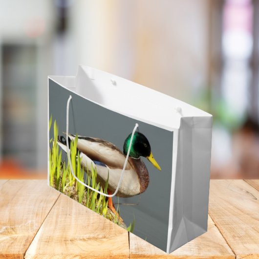 Mallard Duck Wildlife Foto Groot Cadeauzakje