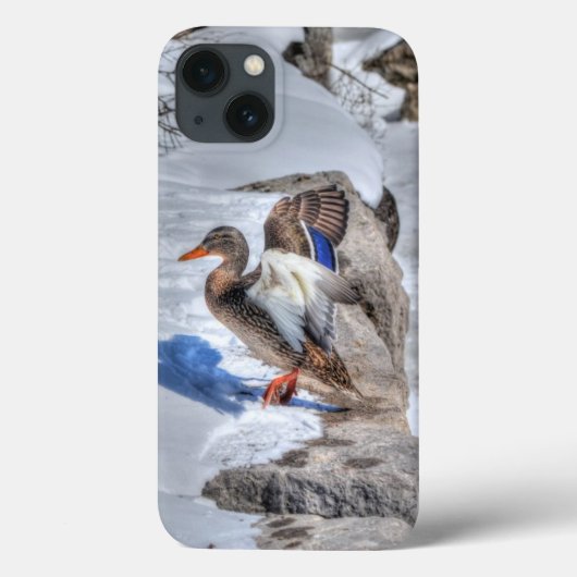 Mallard Duck Wildlife Foto voor Vogelliefhebbers Case-Mate iPhone Case (Achterkant)