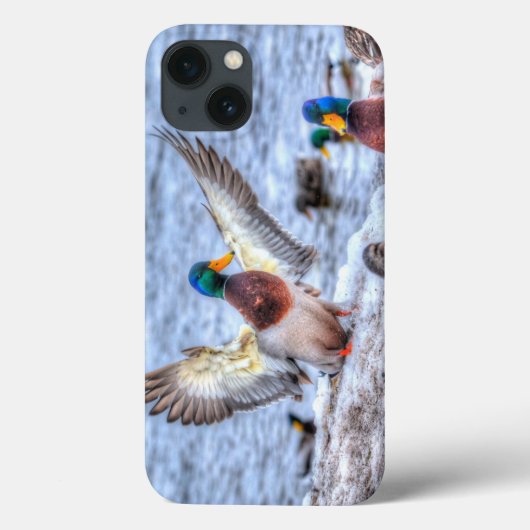 Mallard Duck Wildlife Foto voor Vogelliefhebbers Case-Mate iPhone Case (Achterkant)