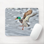 Mallard Duck Wildlife Foto voor Vogelliefhebbers Muismat (Met muis)