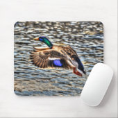 Mallard Duck Wildlife Foto voor Vogelliefhebbers Muismat (Met muis)