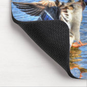 Mallard Duck Wildlife Foto voor Vogelliefhebbers Muismat (Hoek)