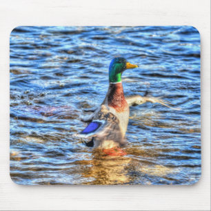 Mallard Duck Wildlife Foto voor Vogelliefhebbers Muismat