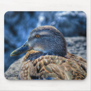 Mallard Duck Wildlife Foto voor Vogelliefhebbers Muismat