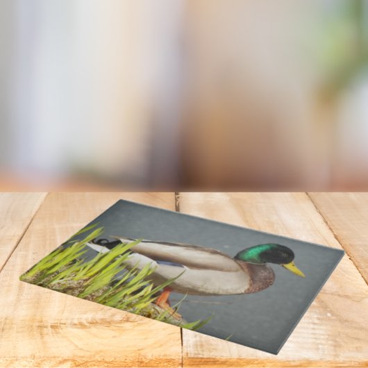 Mallard Duck Wildlife Large Snijplank