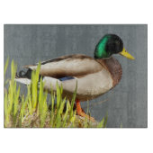 Mallard Duck Wildlife Large Snijplank (Voorkant)