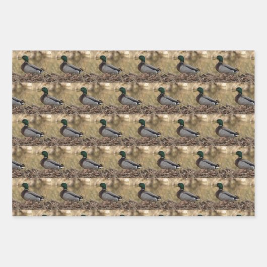 Mallard Duck Wrapping Paper (Voorkant 3)
