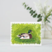 Mallard Duck zit in het gras Briefkaart (Staand voorkant)
