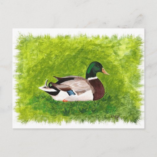 Mallard Duck zit in het gras Briefkaart (Voorkant)