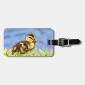 Mallard Ducking Bagagelabel (Voorkant horizontaal)