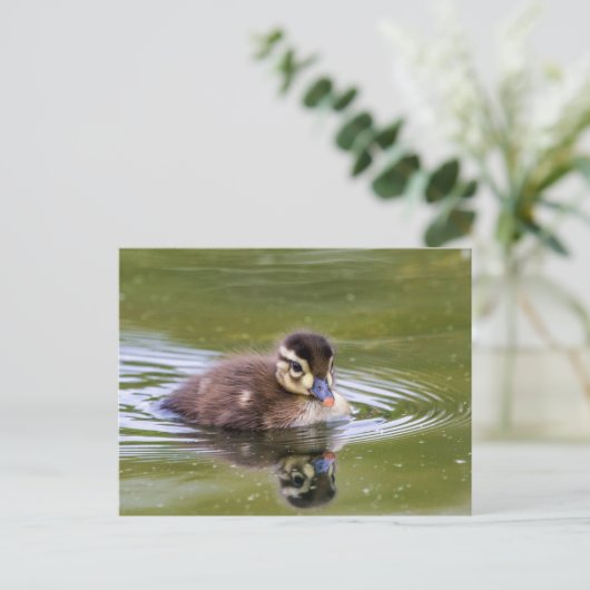 Mallard Ducking Briefkaart (Staand voorkant)