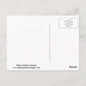 Mallard Ducking Briefkaart (Achterkant)