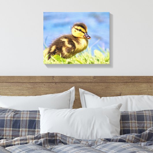 Mallard Ducking Canvas Afdruk (Insitu (Slaapkamer))