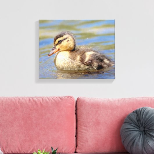 Mallard Ducking Canvas Afdruk (Insitu (Woonkamer))
