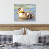 Mallard Ducking Canvas Afdruk (Insitu (Slaapkamer))