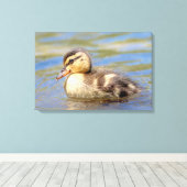 Mallard Ducking Canvas Afdruk (Insitu (Houten vloer))