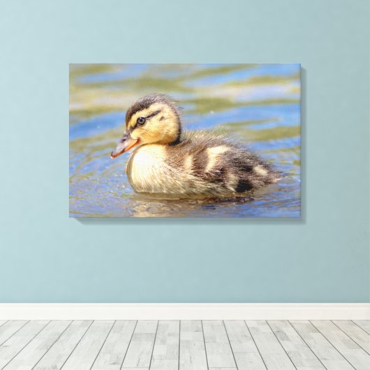 Mallard Ducking Canvas Afdruk (Insitu (Houten vloer))