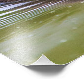 Mallard Ducking Foto Afdruk (Hoek)