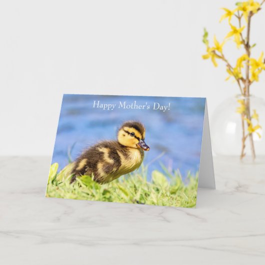 Mallard Ducking Kaart (Gele Bloem)