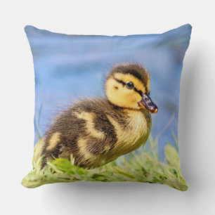 Mallard Ducking Kussen