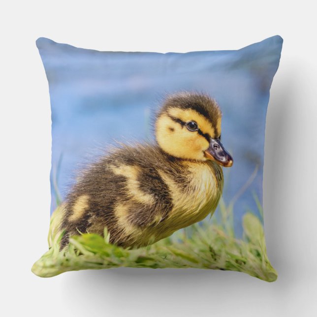 Mallard Ducking Kussen (Voorkant)