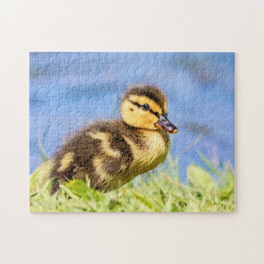 Mallard Ducking Legpuzzel (Horizontaal)