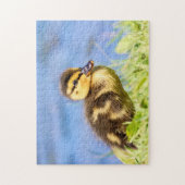 Mallard Ducking Legpuzzel (Verticaal)