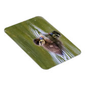 Mallard Ducking Magneet (Rechterzijde)