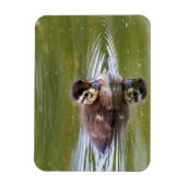 Mallard Ducking Magneet (Verticaal)
