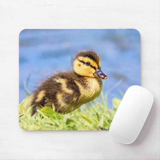 Mallard Ducking Muismat (Met muis)