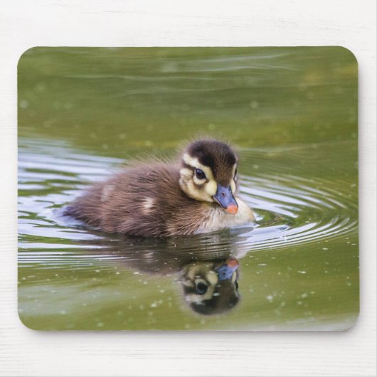 Mallard Ducking Muismat (Voorkant)