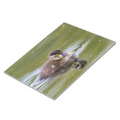 Mallard Ducking Notitieblok (Schuin)