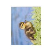 Mallard Ducking Notitieblok (Linkerzijde)