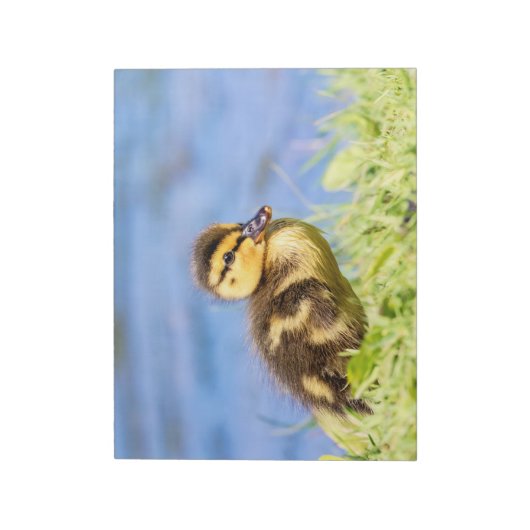 Mallard Ducking Notitieblok (Linkerzijde)