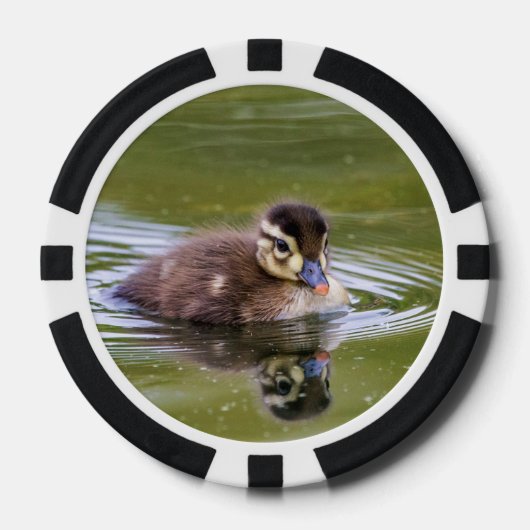 Mallard Ducking Poker Chips (Voorkant)