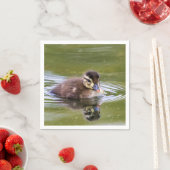Mallard Ducking Servet (Insitu)