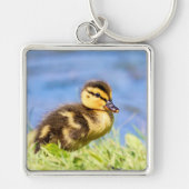 Mallard Ducking Sleutelhanger (Voorkant)