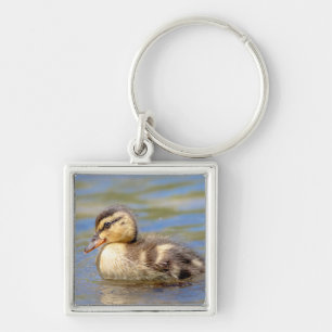 Mallard Ducking Sleutelhanger