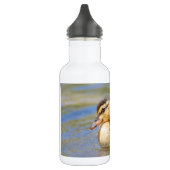 Mallard Ducking Waterfles (Links)