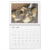 Mallard Duckings Kalender (Mar 2026)