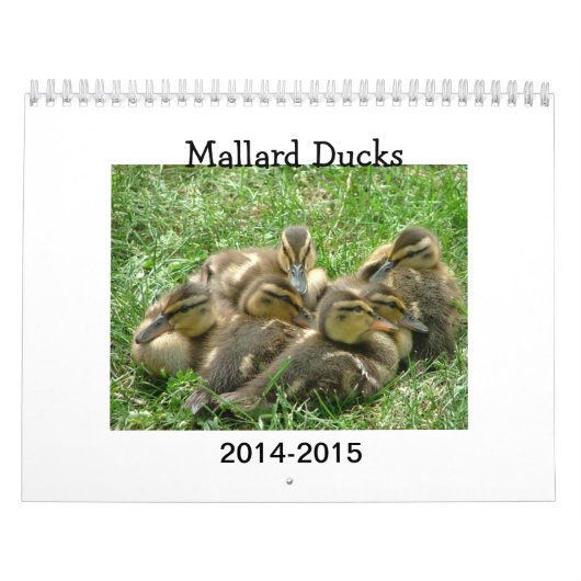 Mallard Duckings Kalender (Hoes)