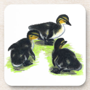 Mallard Ducklings Bier Onderzetter