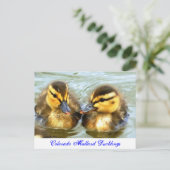 Mallard Ducklings Briefkaart (Staand voorkant)