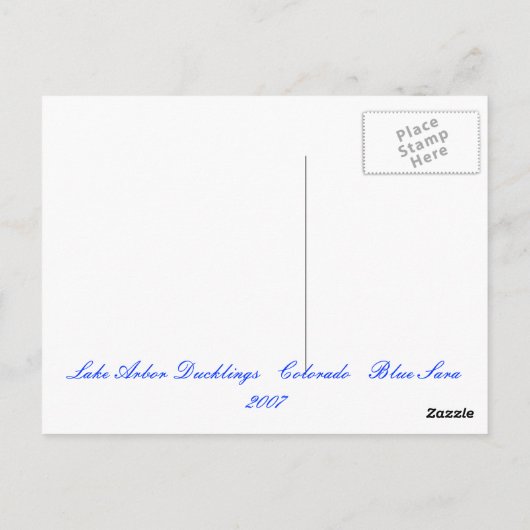 Mallard Ducklings Briefkaart (Achterkant)